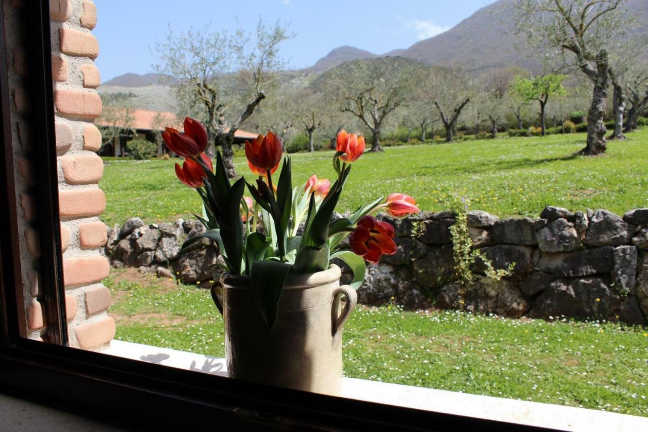 Agriturismo Il Castagneto Padula Exterior foto